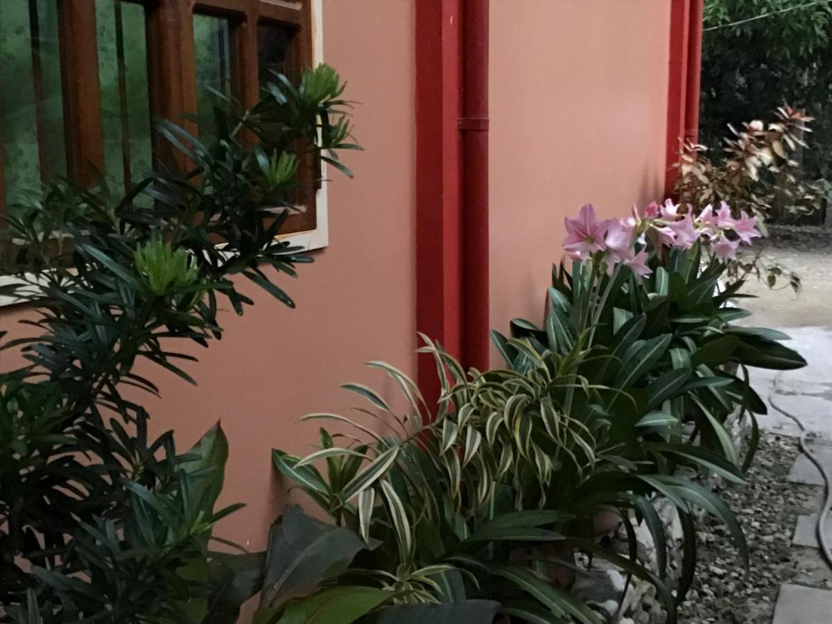 Ferranco Tourist Inn Сан-Висенте Экстерьер фото
